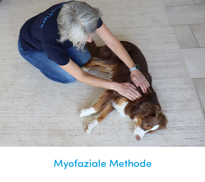 4 Myofaziale Methode